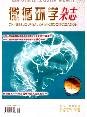 ΢ѭhW