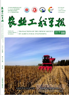 rǏW